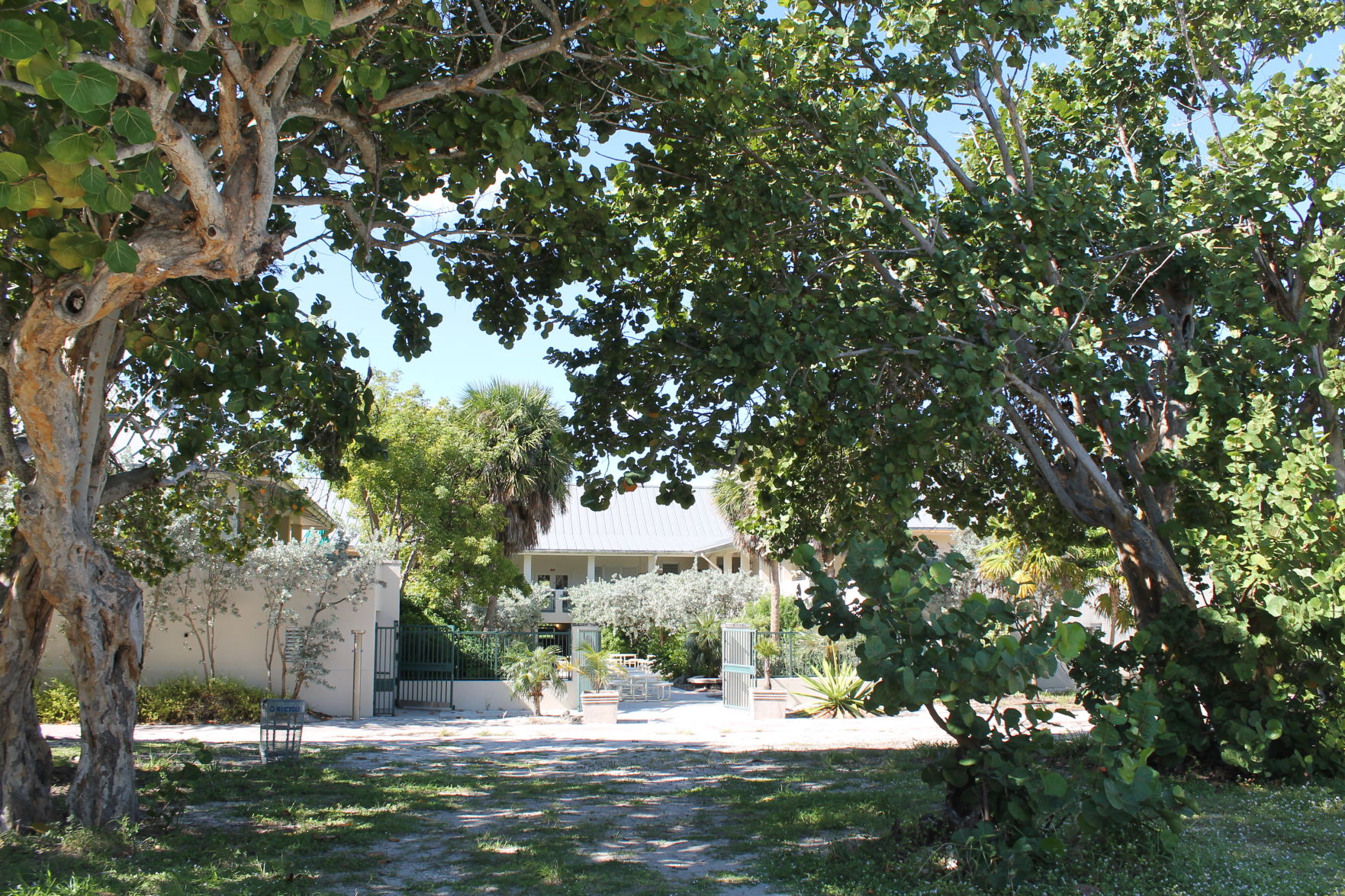 MSD Biscayne Nature Center o